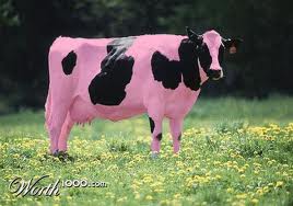 https://www.digitalconversations.com.au/wp-content/uploads/2014/12/pink-cow.jpg